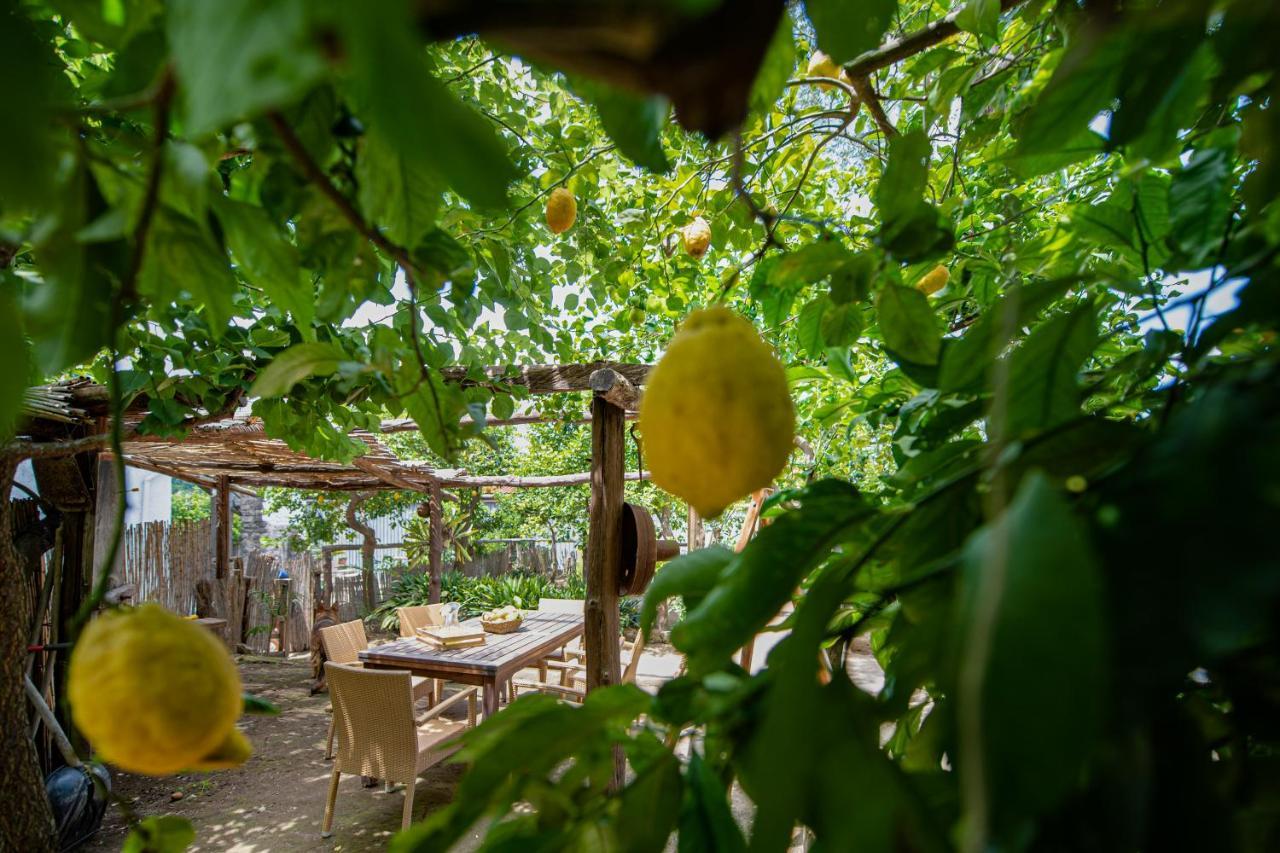 My Home סורנטו מראה חיצוני תמונה