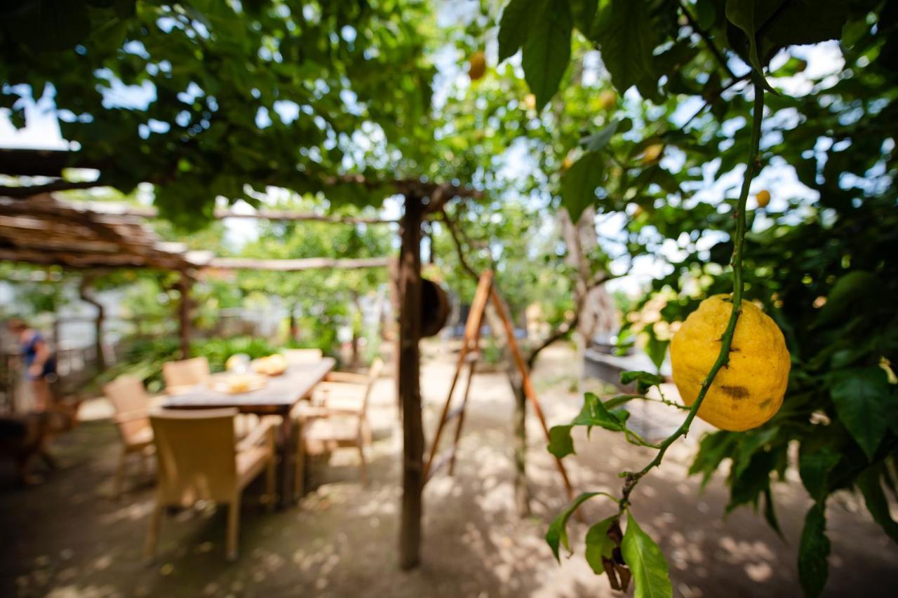 My Home סורנטו מראה חיצוני תמונה