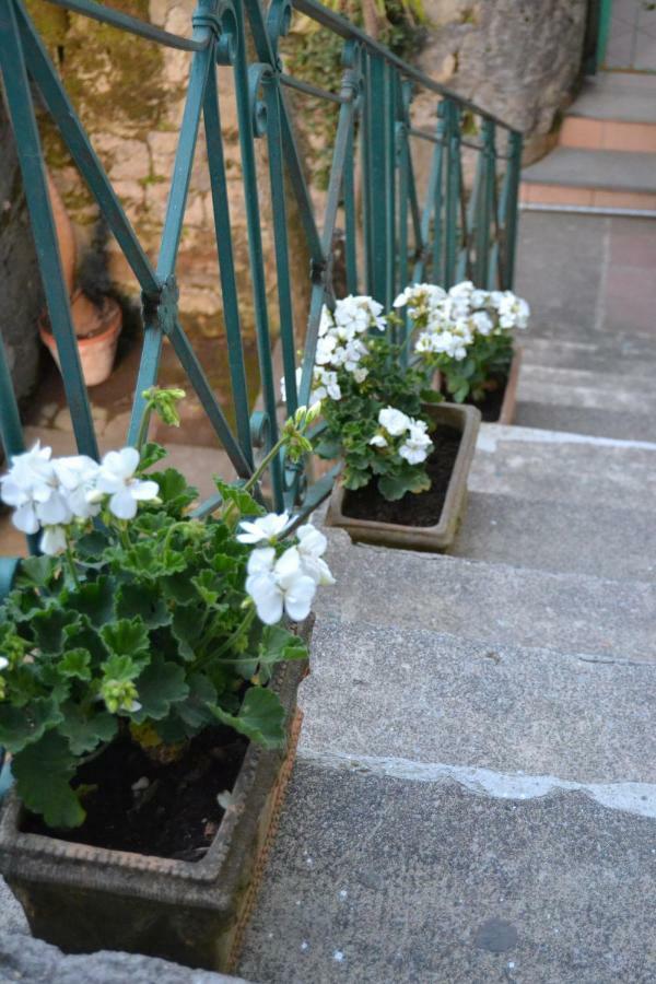 My Home סורנטו מראה חיצוני תמונה